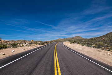 Obraz premium Joshua Trees in Joshua Tree National Park, Riverside County and San Bernardino County, California, USA