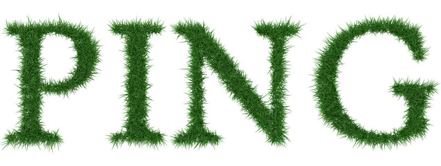 Ping - 3D rendering fresh Grass letters isolated on whhite background.