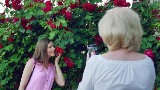 Elderly woman takes pictures young girl. The mother takes pictures of the daughter. Red roses flowers in the background.