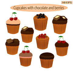 Dessert. Cupcakes with chocolate. Fruit cupcakes with berries.  Vector illustration.