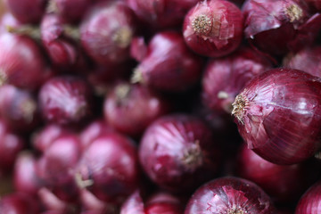 Red onions background