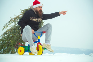 Angry hipster carrying xmas tree on white snow
