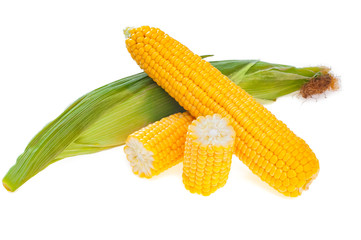 Yellow ear of corn, with another not peeled ear of corn, isolated on white