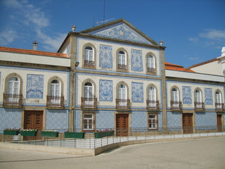 <Digimax S500 / Kenox S500 / Digimax Cyber 530>