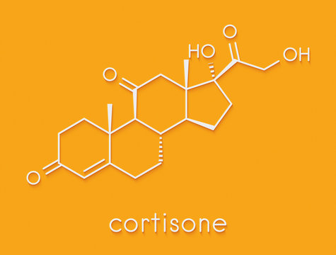 Cortisone stress hormone molecule. Skeletal formula.
