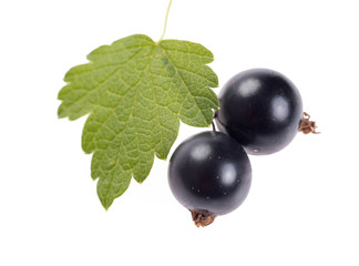 Sweet blackcurrant berries with leaf, isolated on white