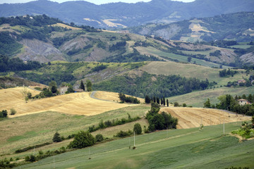 Summer landscape between Guiglia and Bologna