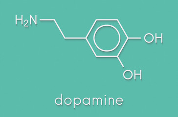Dopamine neurotransmitter molecule. Also used as drug. Skeletal formula.