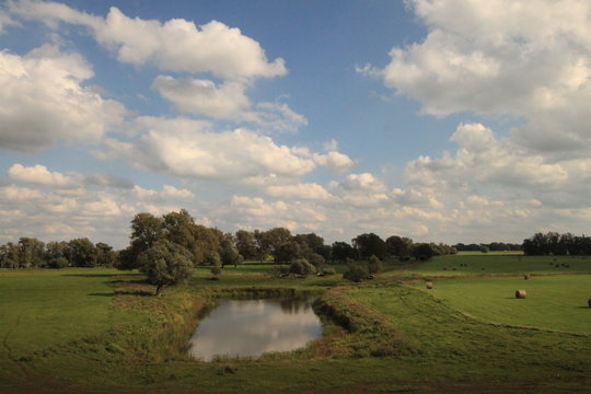 Elbwiesen bei Beuster in der Altmark