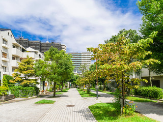 Fototapeta premium 閑静な住宅街
