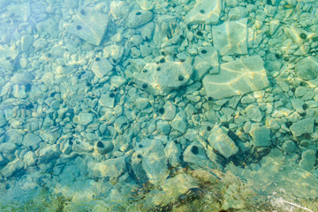 Fototapeta na wymiar Beautiful shallow sea with urchin on a bottom
