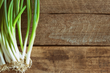 Fresh spring onion on wood table. Close up scallions or spring onion on wood plank in top view flat lay with copy space. Prepare spring onion for cooking. Food and vegetable concept for background.