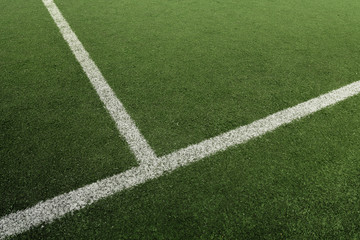Soccer or Football field with white line