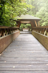 Obraz premium fairytale wooden bridge going through green forest with a house in the middle and hazy sun
