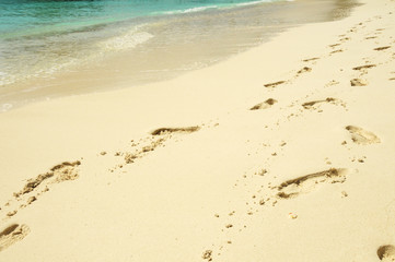 Footprints in the sand along crystal clear sea shore on a Maldivian island.