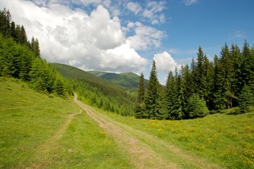 Fototapeta premium Hiking adventure. A scenic shot in the mountains. Breathtaking view of the mountainscape, mountain road, forest and the skies and clouds. 