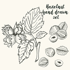 Hand drawn sketch illustration vector