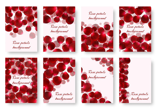 A set of greeting card templates with flying rose petals. Vector backgrounds with a floral pattern.
