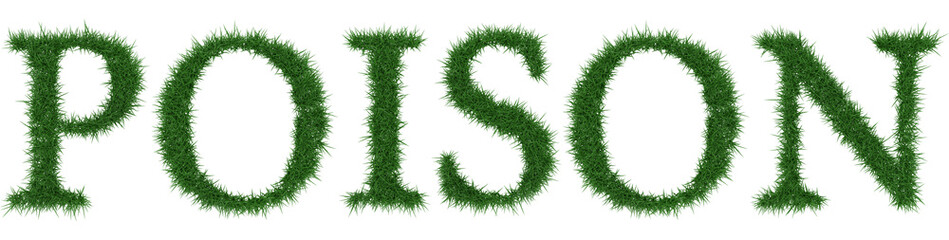 Poison - 3D rendering fresh Grass letters isolated on whhite background.