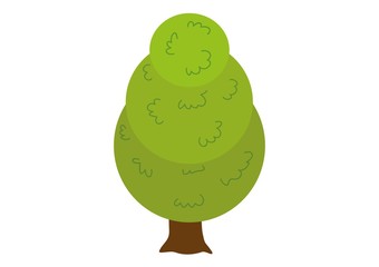 drzewo