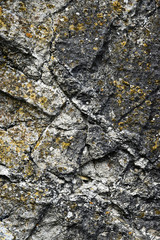 detail of the limestone rock