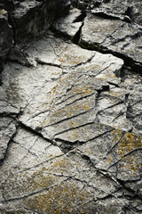 detail of the limestone climbing rock