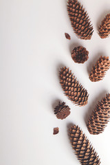 Natural cone composition pattern on white