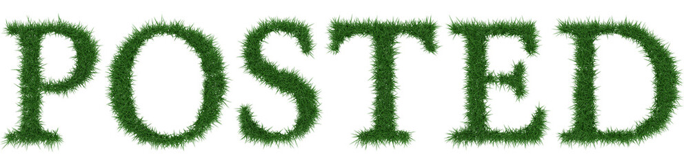 Posted - 3D rendering fresh Grass letters isolated on whhite background.
