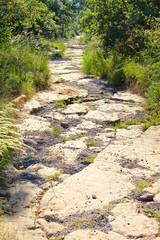 camino