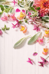 beautiful flowers on white wooden background