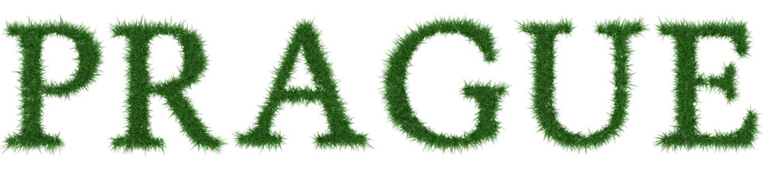 Prague - 3D rendering fresh Grass letters isolated on whhite background.