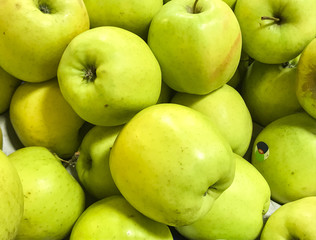 Delicious apples typical of the area of the volcano Etna, in Sicily