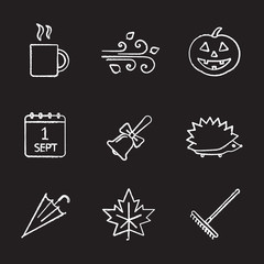 Autumn season chalk icons set