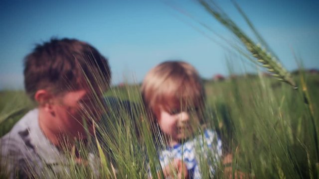 4k Portrait of Father and Son in Wheat Fields
