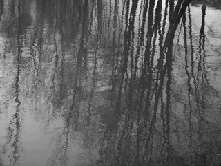 Fototapeta premium texture