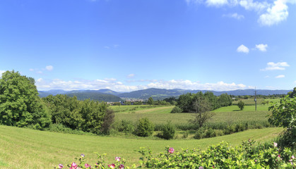 Blick über die Stadt Schopfheim