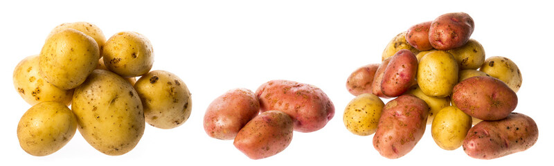 a fresh raw potatoes on a white background