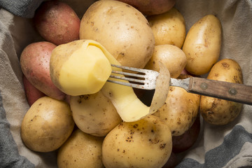 raw potatoes - close up in the detail