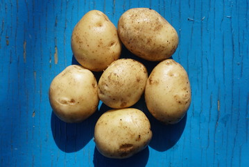 potato on a blue background