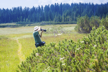 Photographer taking pictures at Pokljuka marshes, Julian alps.