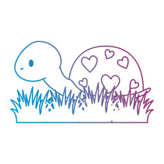 cute turtle in grass