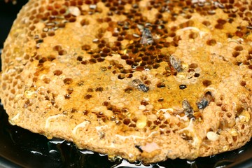 honeycomb