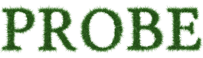 Probe - 3D rendering fresh Grass letters isolated on whhite background.