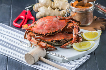 Maryland blue crabs with seafood utensils