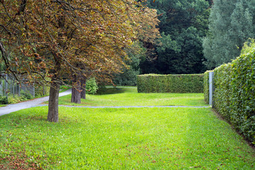 Naklejka premium Park / Naturpark mit Bäumen und Wiese