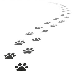 vector dog paw prints