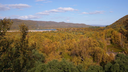 Aerial view of forest dyed to yellow colors, northern Norway, Finnmark region