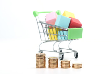 coins in front of shopping cart model