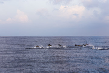 Dolphins are pursuing a flock of fish at sunset.