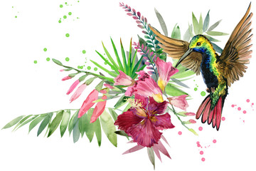 Fototapeta premium piękna tropikalna natura. egzotyczny raj kwiatowy tło. roślina dżungli, ptak i kwiaty. Koliber. akwarela las deszczowy ilustracja.